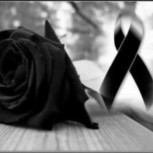 Meet your Posher, Karina